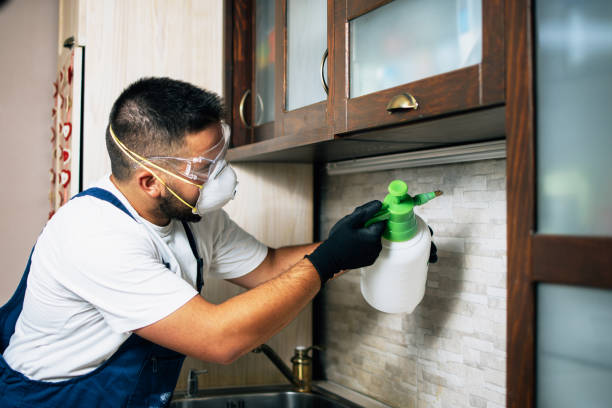 Best Pest Removal Services  in Louisburg, KS