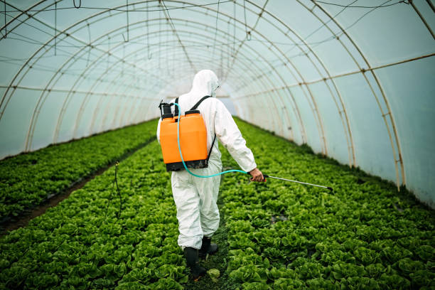 Best Pest Prevention Services  in Louisburg, KS