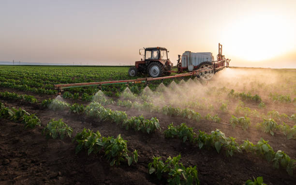 Best Pest Inspection Near Me  in Louisburg, KS