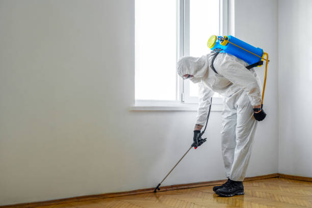  Louisburg, KS Pest Control Pros