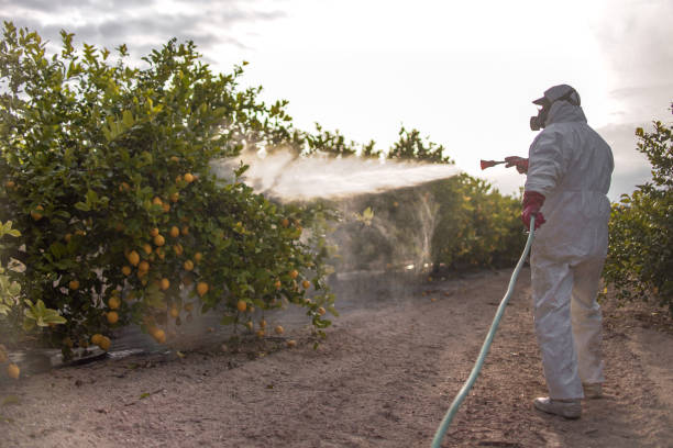 Pest Control for Restaurants in Louisburg, KS