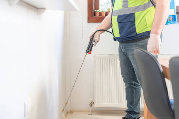 Best Wasp Removal Services  in Louisburg, KS