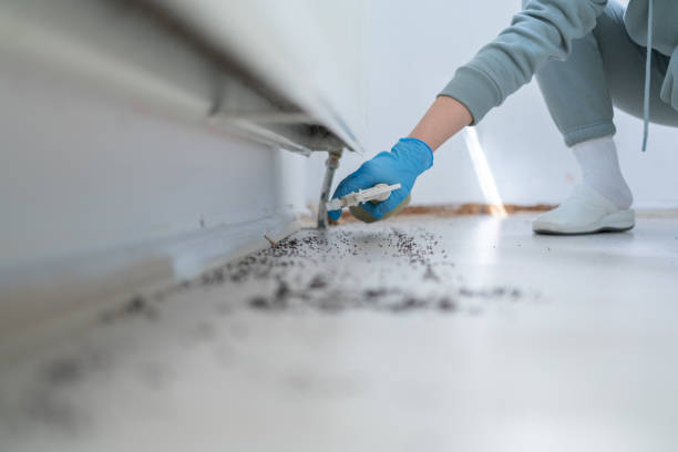 Best Wildlife Control Services  in Louisburg, KS
