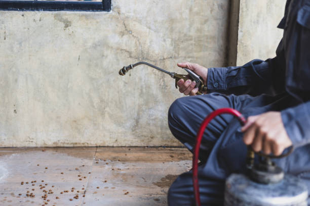 Best Exterminator Services  in Louisburg, KS